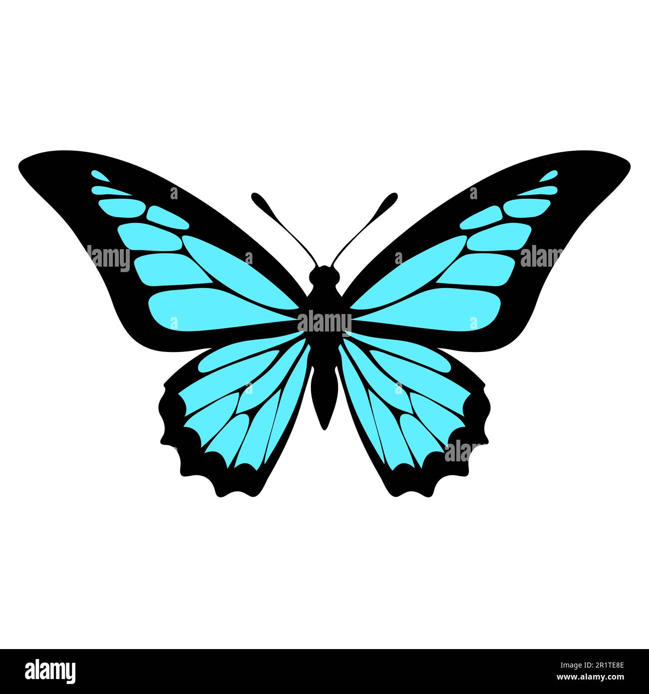 Farfalla isolata su sfondo bianco. Illustrazione vettoriale. EPS 10. Illustrazione Vettoriale