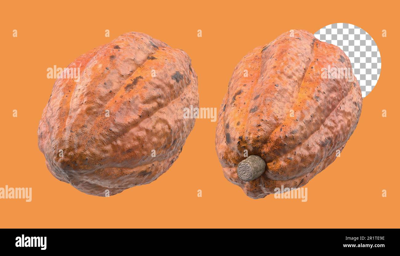 Set di frutta di cacao per il tuo elemento di design. Foto Stock