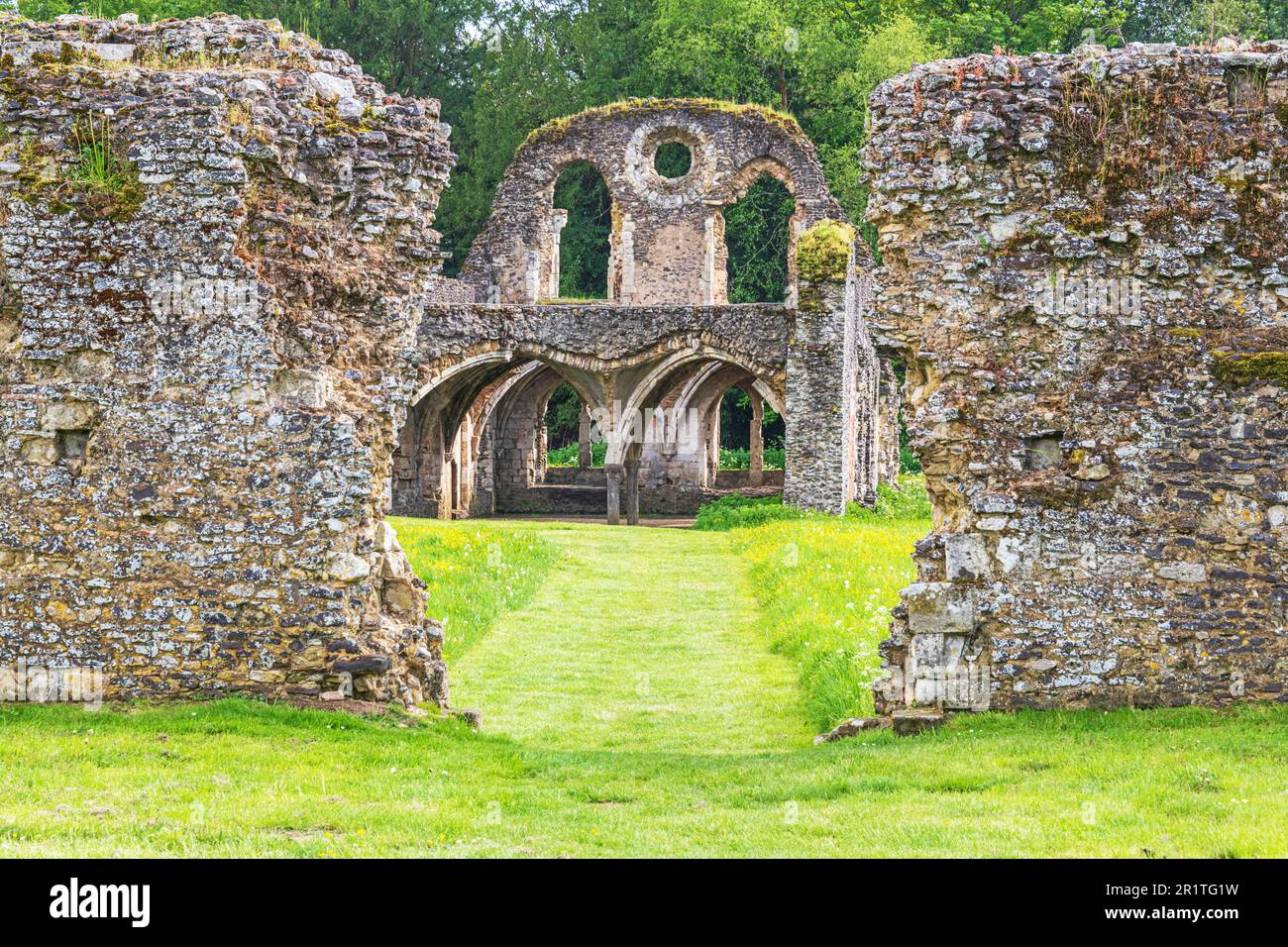 Le rovine dell'abbazia di Waverley vicino a Farnham nel Surrey, la prima abbazia cistercense costruita in Inghilterra nel 1128. Foto Stock