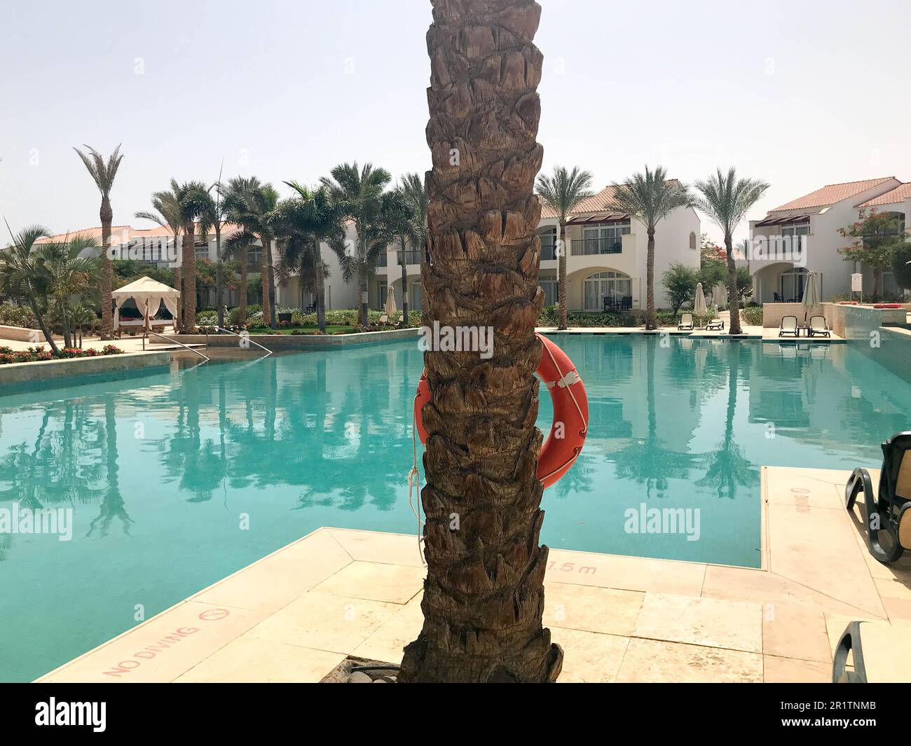 Rilassatevi nella piscina con acqua blu e lettini per prendere il sole con ombrelloni sullo sfondo di un tronco di palma con un anello di vita in una tropica marina Foto Stock