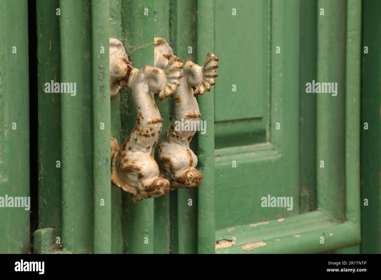 Maniglie per porte Dolphin su vecchie porte di legno, Città Vecchia, Lagos, Algarve, Portogallo Foto Stock