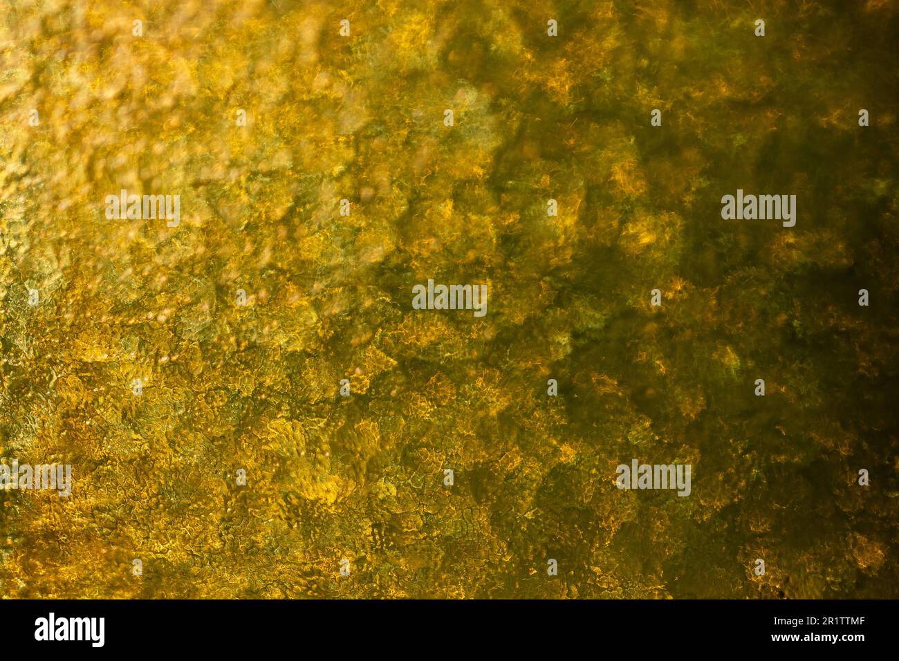 Riflessi verdi uniformi attraverso la finestra in vetro ondulato, sfondo astratto Foto Stock