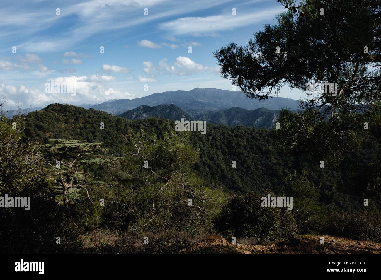 Vista dal Monte Tripylos che si affaccia sulla foresta di Pafos (Paphos), Cipro Foto Stock