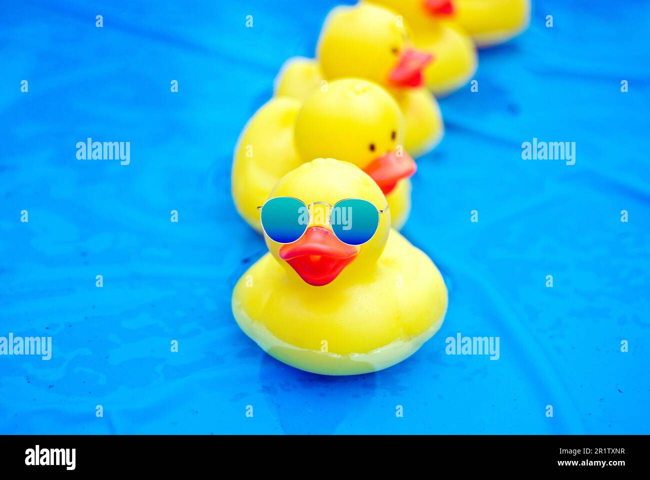 Anatra di gomma gialla che indossa occhiali da sole blu sfumati nella piscina blu Foto Stock