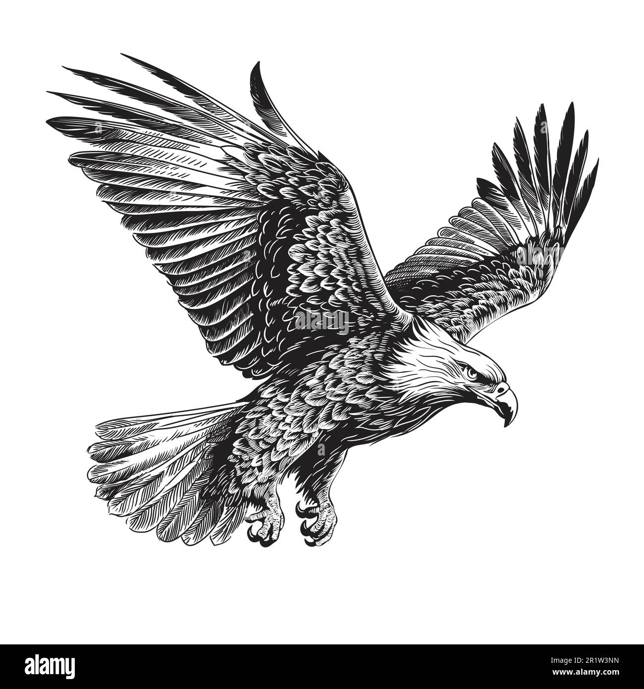 Aquila in volo Illustrazione Vettoriale