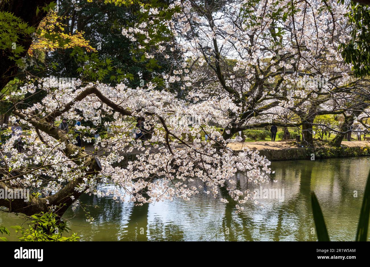 Giardino di Ritsurin nella città di Takamatsu, Prefettura di Kagawa, Giappone, uno dei più famosi giardini storici giapponesi. Foto Stock