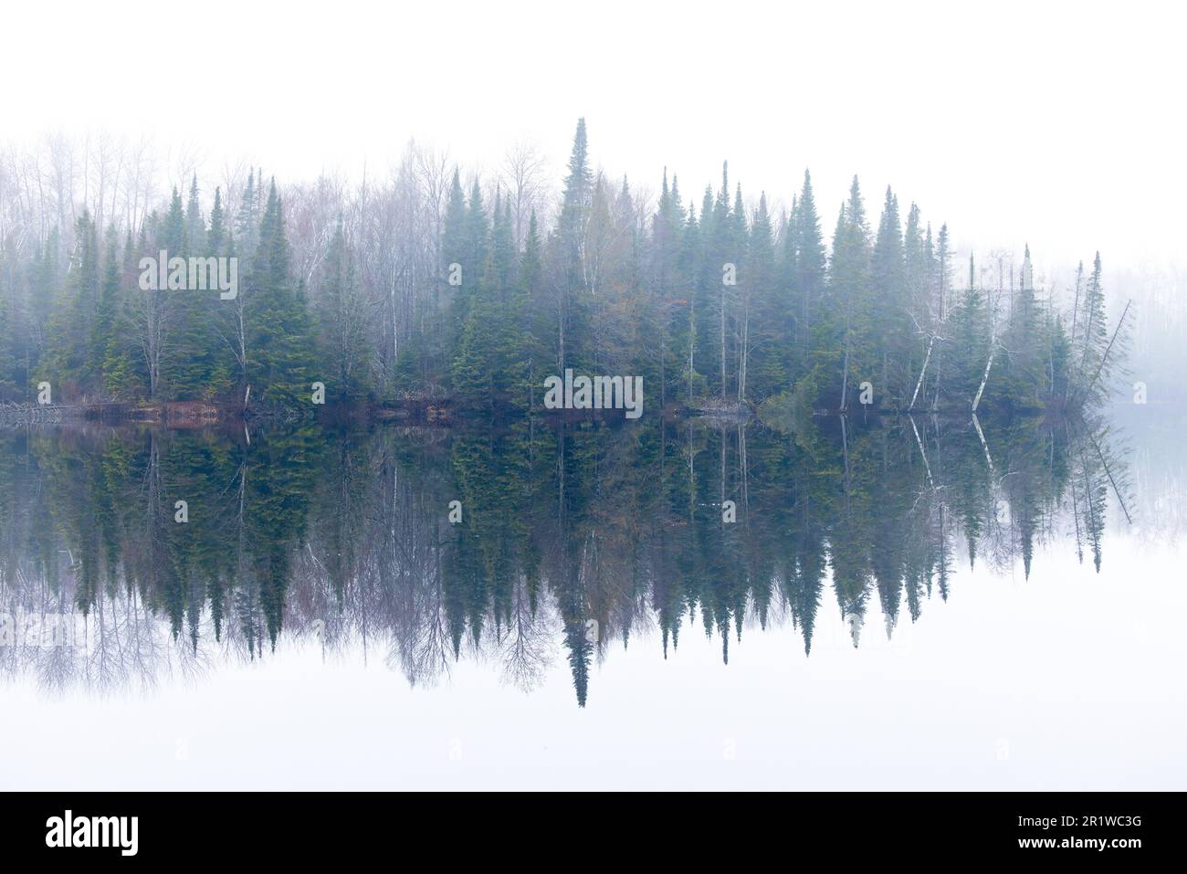 Nebbia mattutina sul lago Day nella foresta nazionale di Chequamegon nel Wisconsin settentrionale. Foto Stock