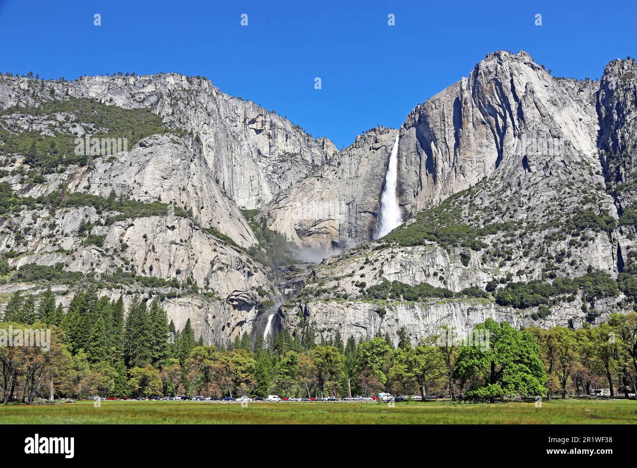 Prato di Cook e cascate di Yosemite - Yosemite NP - California Foto Stock