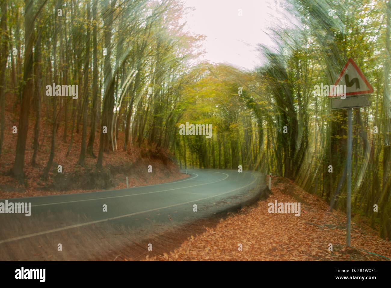 Immagine con movimento circolare di una curva nella strada di una foresta Foto Stock