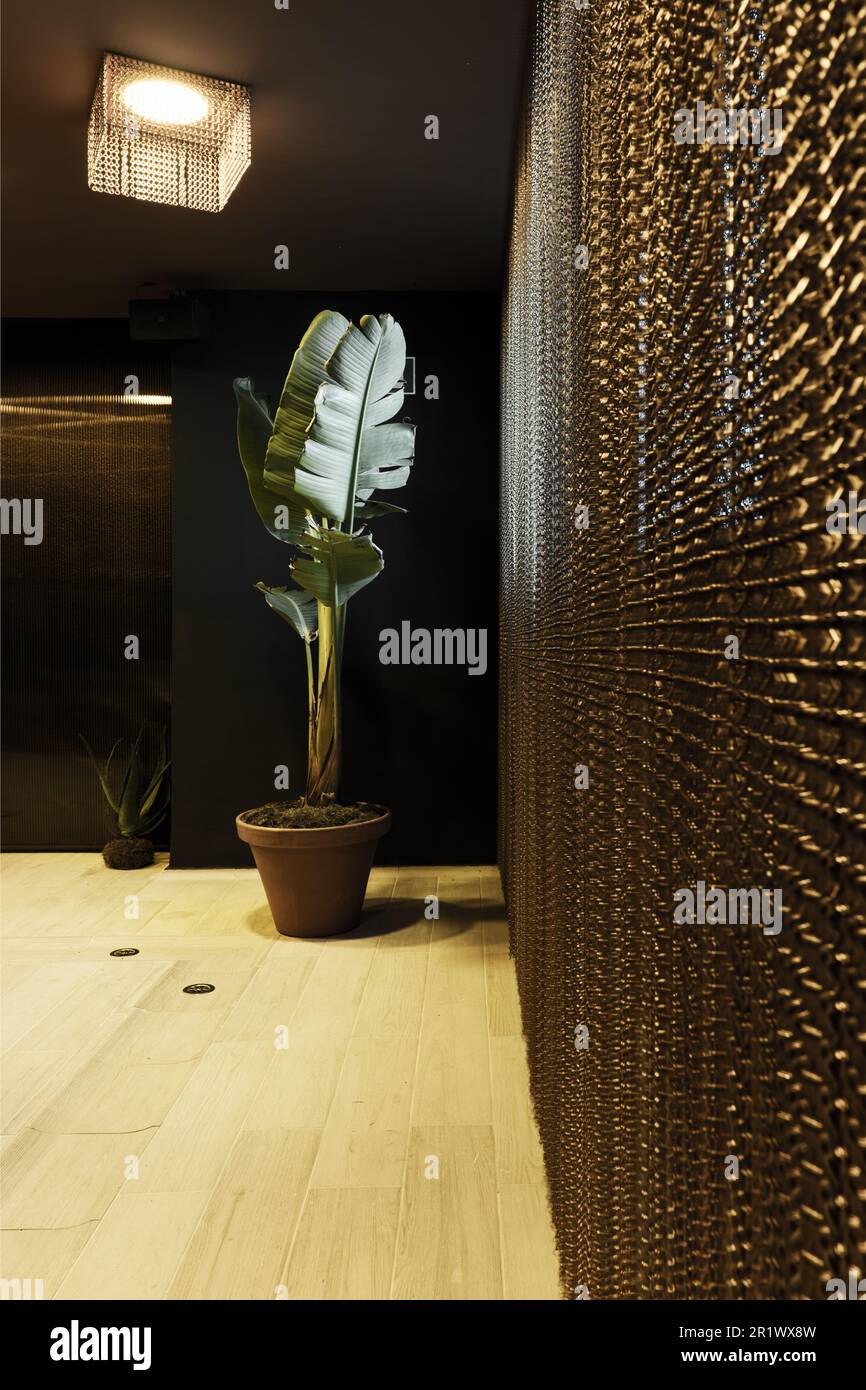 Un muro con una tenda di metallo in una stanza con una pianta tropicale in un grande vaso Foto Stock