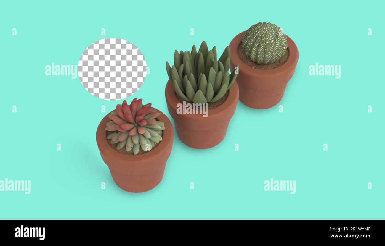 Tre piante su piccolo vaso marrone per le decorazioni della stanza o dell'ufficio. Foto Stock