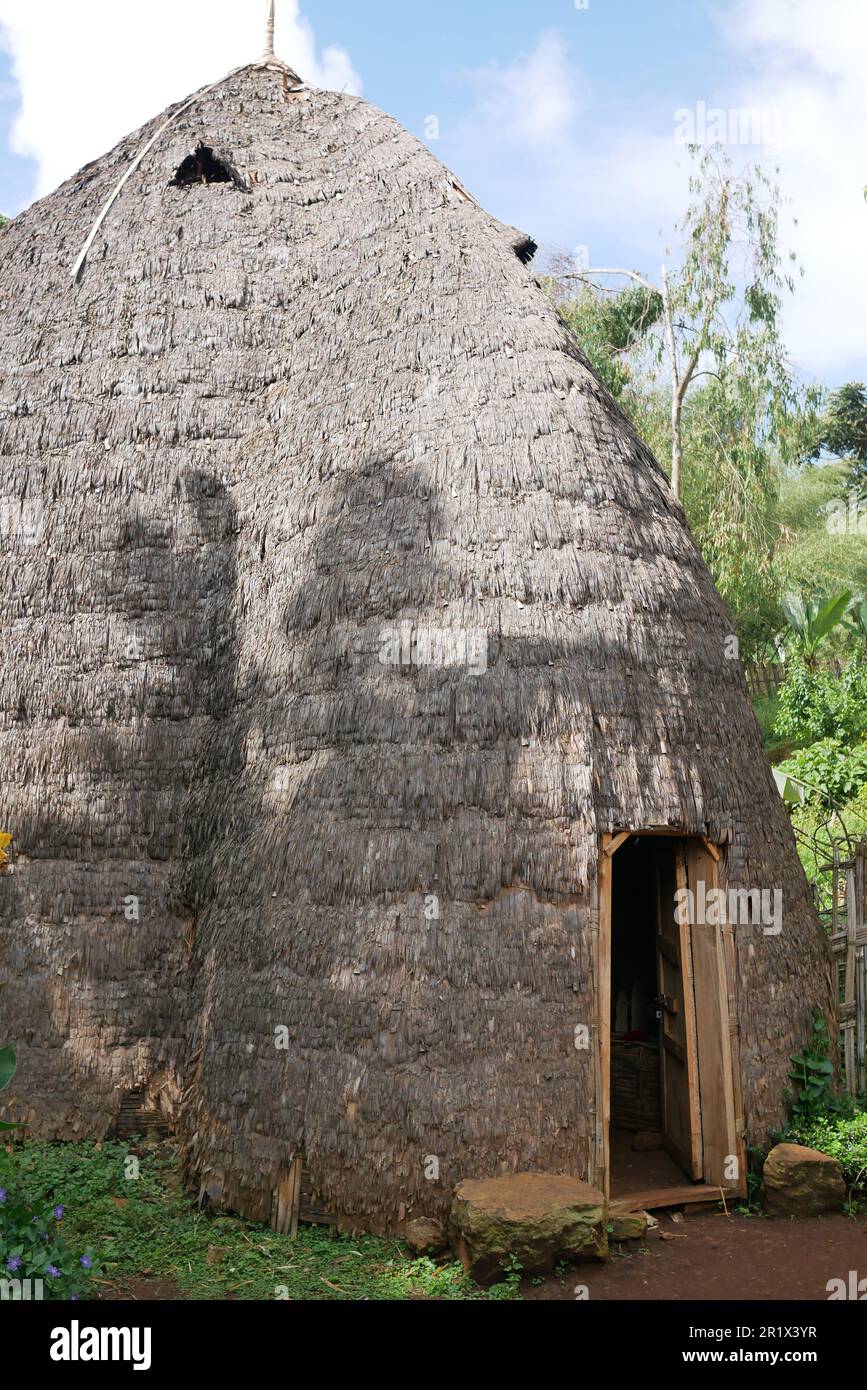 Capanna di bambù a forma di elefante appartenente alla tribù Dorze in Etiopia Foto Stock