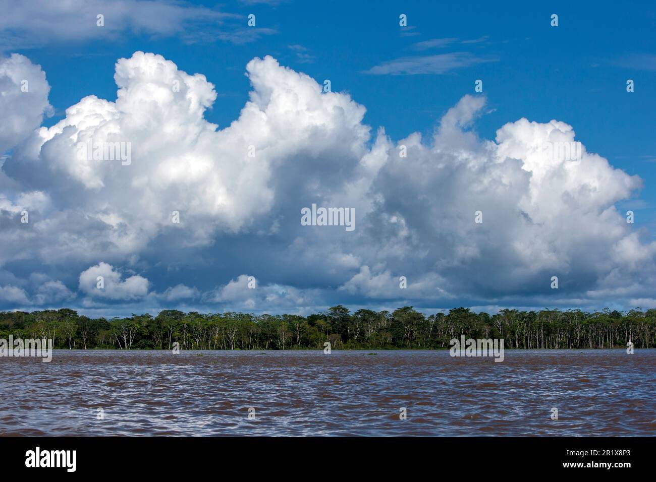 Le nuvole si formano sul fiume Amazzonia e la foresta adiacente vicino a Iquitos in Perù. Foto Stock