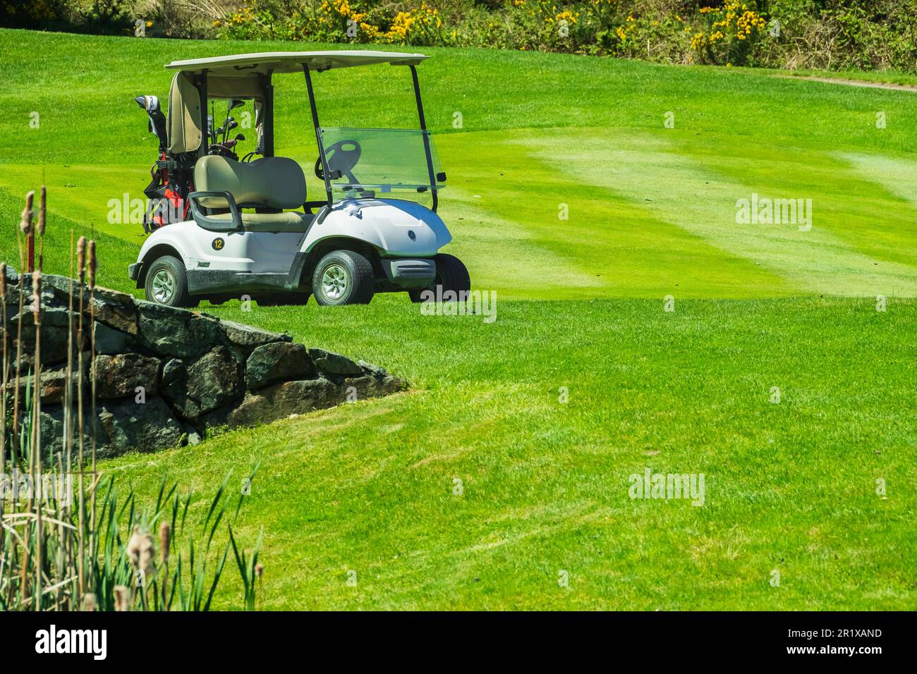 Golf cart o golf-club auto in un bellissimo campo da golf. Candy auto con attrezzature e golf club borsa al campo verde. Concetto di sport di golf. CopySpace, modifica Foto Stock