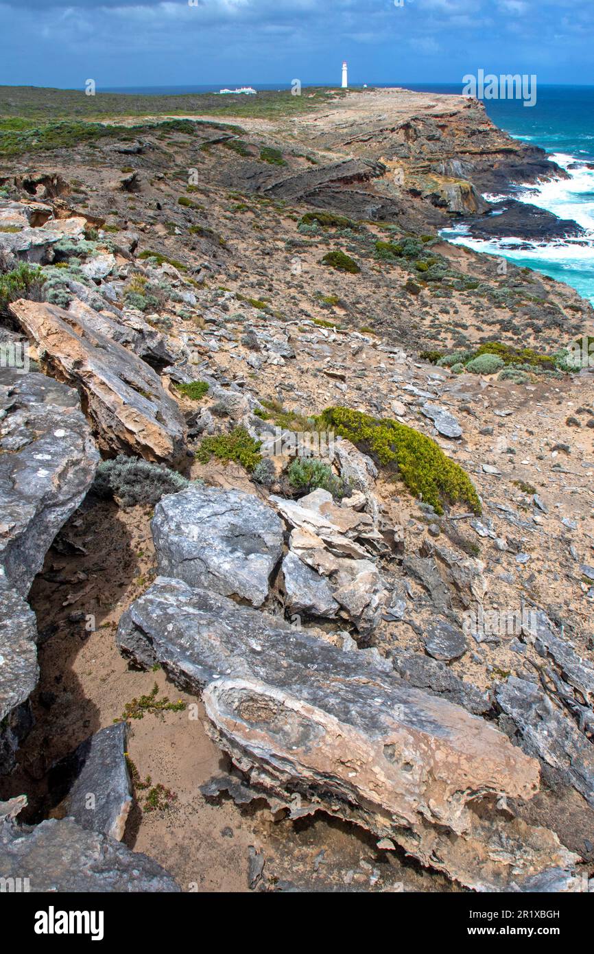 Cape Nelson faro Foto Stock