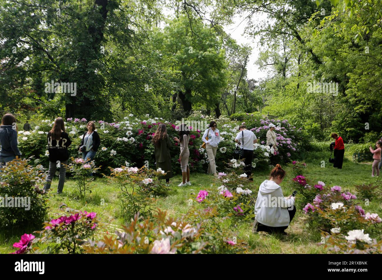 13 maggio 2023, Odessa, Ucraina: Le persone scattano foto vicino alle piante fiorite del Giardino Botanico di Odessa (Giardino Botanico dell'Università Nazionale di Odessa che prende il nome da Ilya Mechnikov). Giardino Botanico di Odessa (Giardino Botanico dell'Università Nazionale di Odessa Ilya Mechnikov) più di 3.000 tipi di specie verdi sono presentati sul territorio del giardino con una superficie di circa 16 ettari. Il giardino è una suddivisione educativa della Facoltà di Biologia dell'Università, sulla base dei diplomi e delle relazioni terminologiche vengono svolti annualmente, il personale scientifico del giardino partecipa al ed Foto Stock