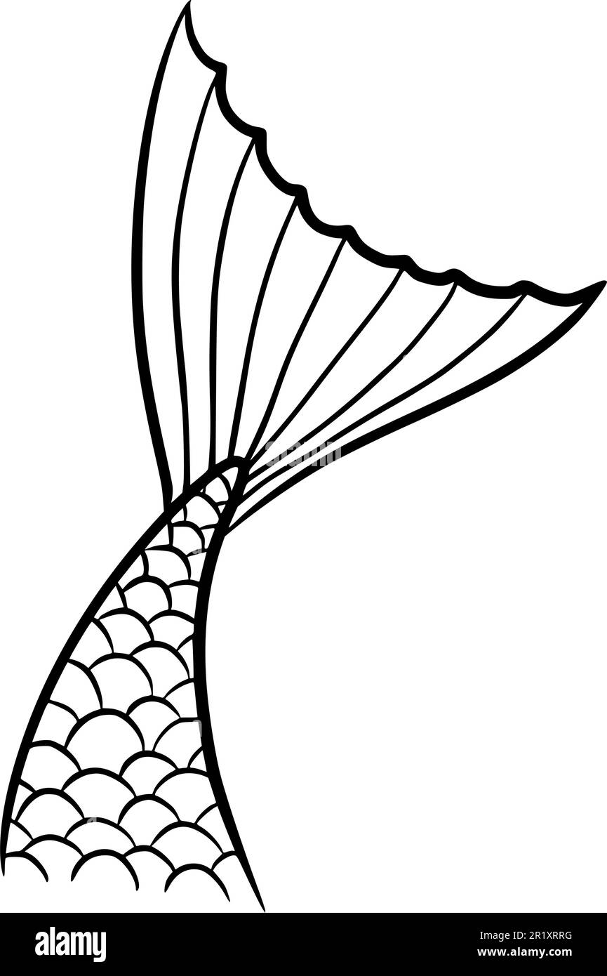 Mermaid coda carino vettore nero contorno marino racconto elemento ragazza Illustrazione Vettoriale