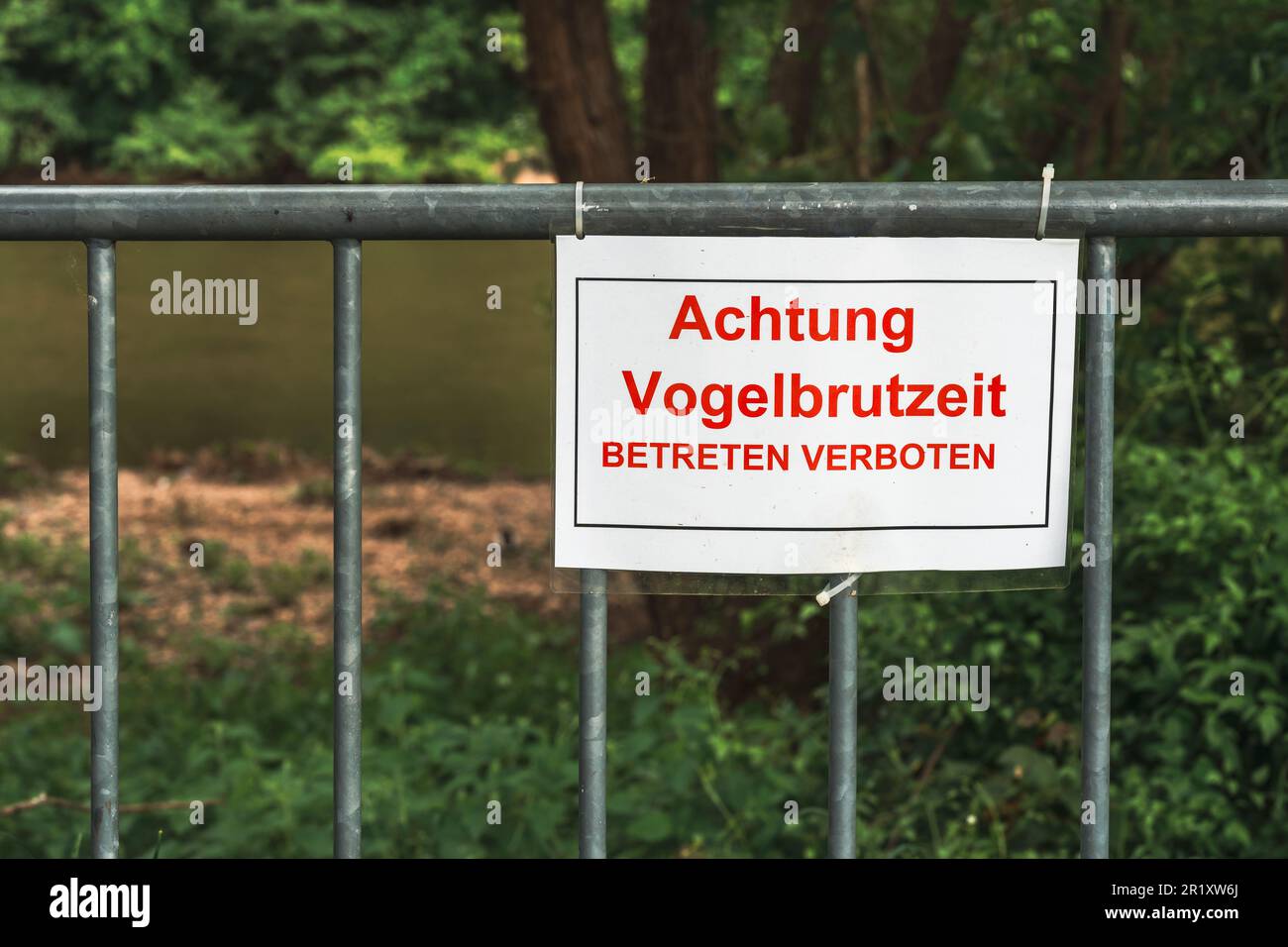 Cartello di avvertimento "stagione dell'allevamento di uccelli, non entrare" di fronte alla riva del fiume Nahe a Bad Münster am Stein-Ebernburg, Germania Foto Stock