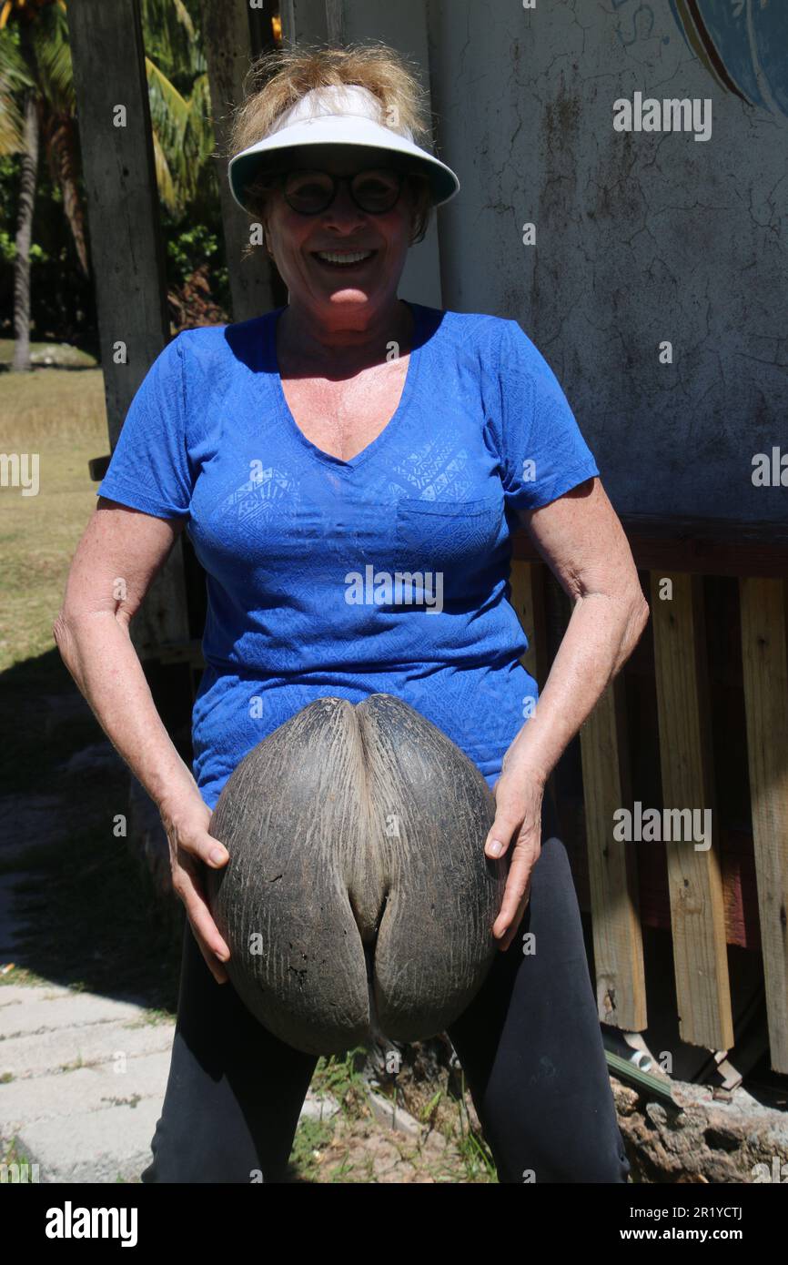 Il Coco de Mer seme (Lodoicea maldivica). Questo è il più grande e più pesante seme nel mondo. Esso è in grado di pesare fino a 30 kg. Fotografato in Seyche Foto Stock