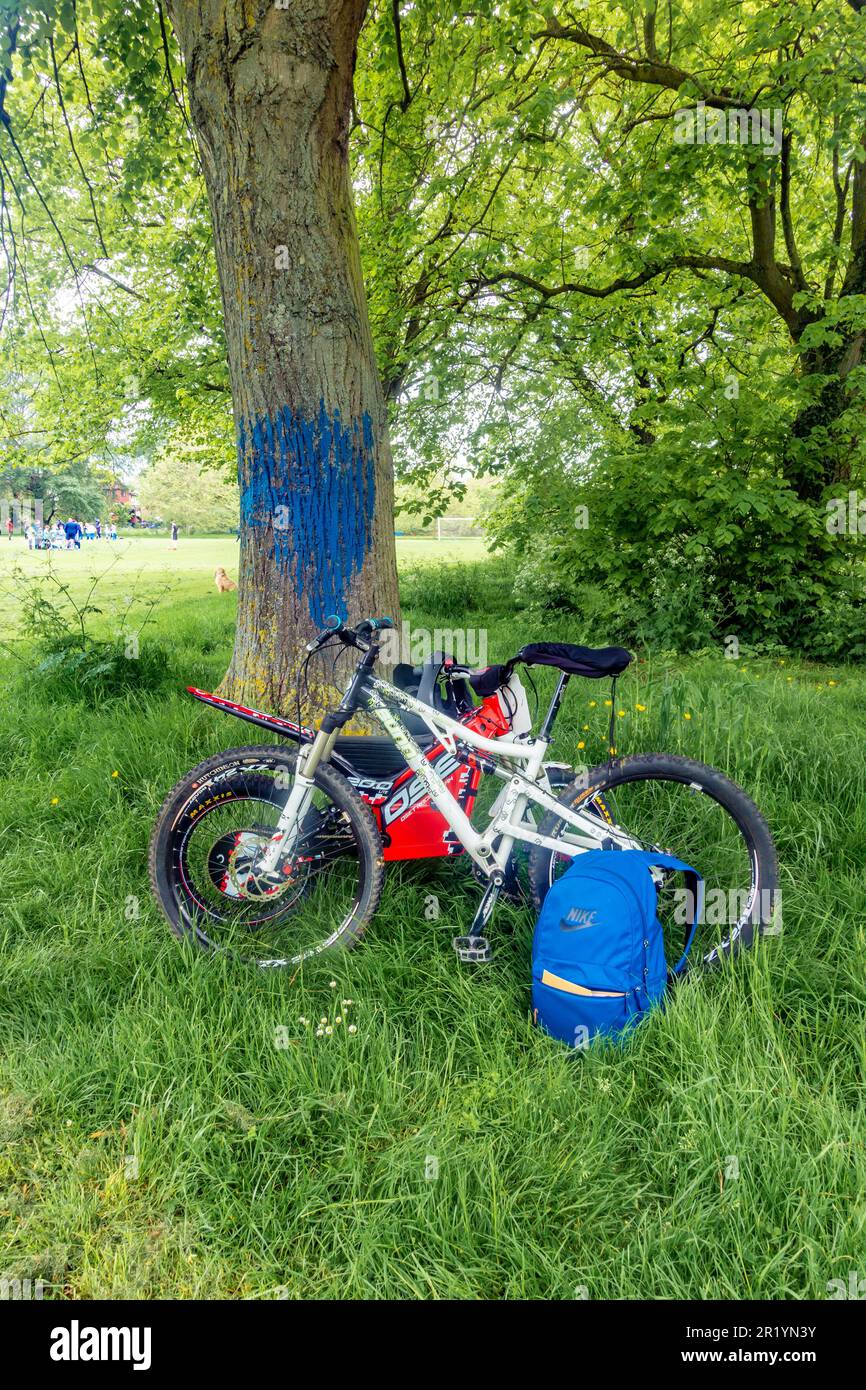 Un paio di biciclette e.. Uno zaino lasciato davanti ad un albero che è stato vandalizzato con vernice blu in un parco Foto Stock