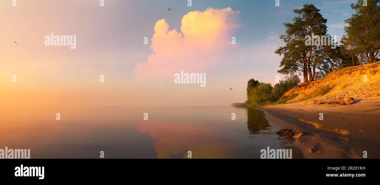 Impressionante alba estiva sul lago con spiaggia sabbiosa e vecchia pineta. Soleggiata scena all'aperto sul fiume Dnieper, Ucraina, Europa. Bellezza della natura Foto Stock