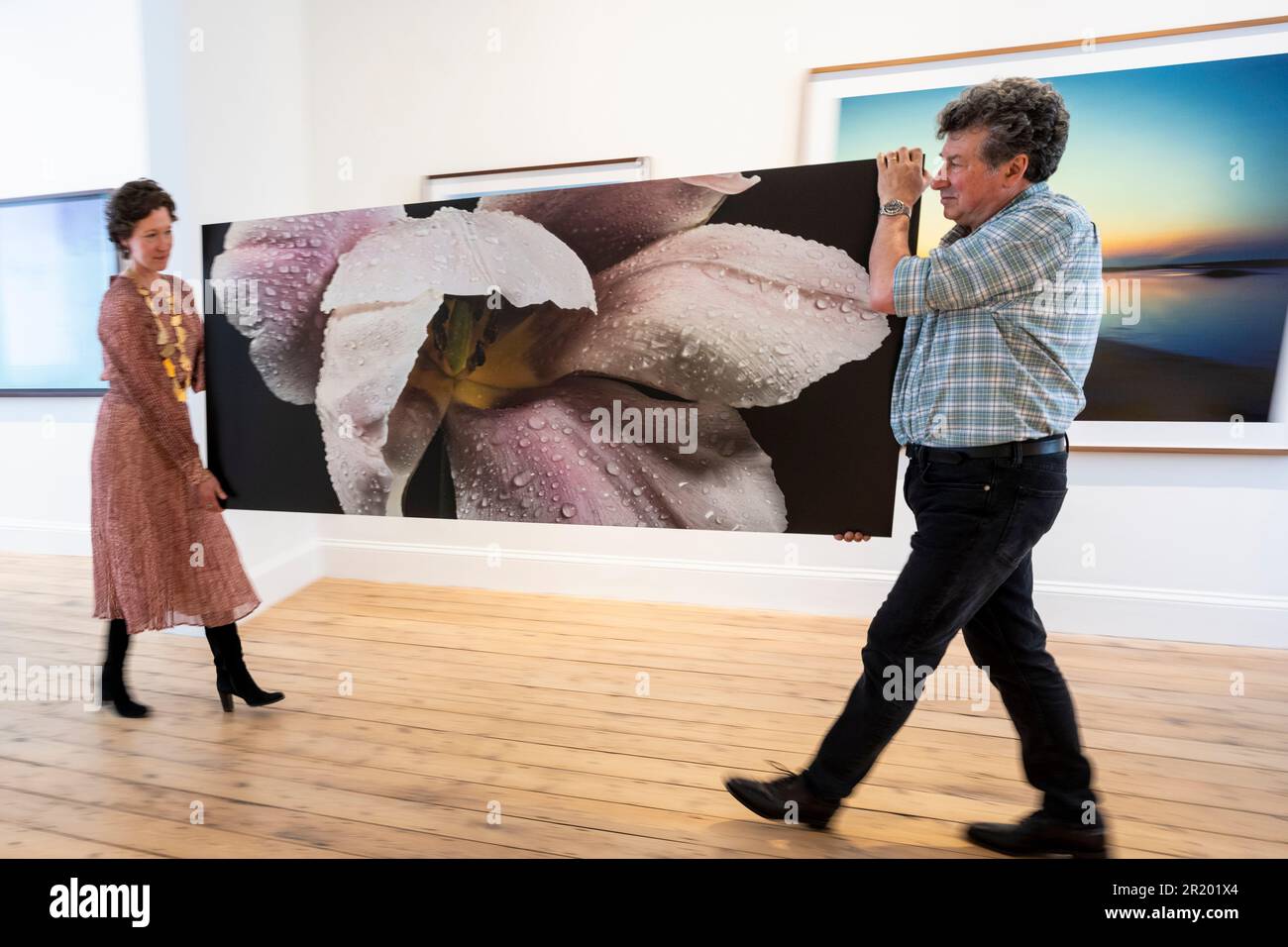 Londra, Regno Unito. 16 maggio 2023. Ex direttore dell'Arte Impressionista e moderna presso Sotheby's, Sophie Camu Lindsay e suo marito e fotografo, Alexander Lindsay, con il "Dew Tulip Study" di Alexander Lindsay, 2023, alla loro prima mostra "Space to Breathe". Al Cromwell Place di South Kensington sono esposte opere di quattro artisti britannici, in vista della principale mostra e festival, a Bowhouse, nell'East Neuk di Fife, Scozia, dal 15 luglio al 6 agosto 2023. Credit: Stephen Chung / Alamy Live News Foto Stock