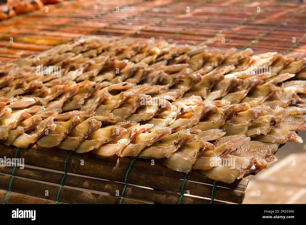 Il pesce di testa di serpente essiccato è considerato una conservazione alimentare a partire dalla carne Foto Stock