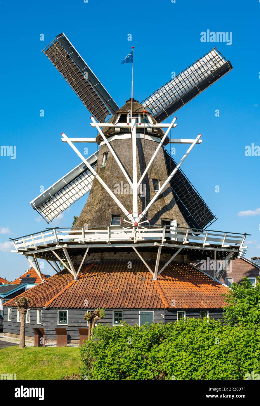 Storico mulino a vento olandese nella città di Meppel, provincia di Drenthe, in una giornata di sole primaverile Foto Stock