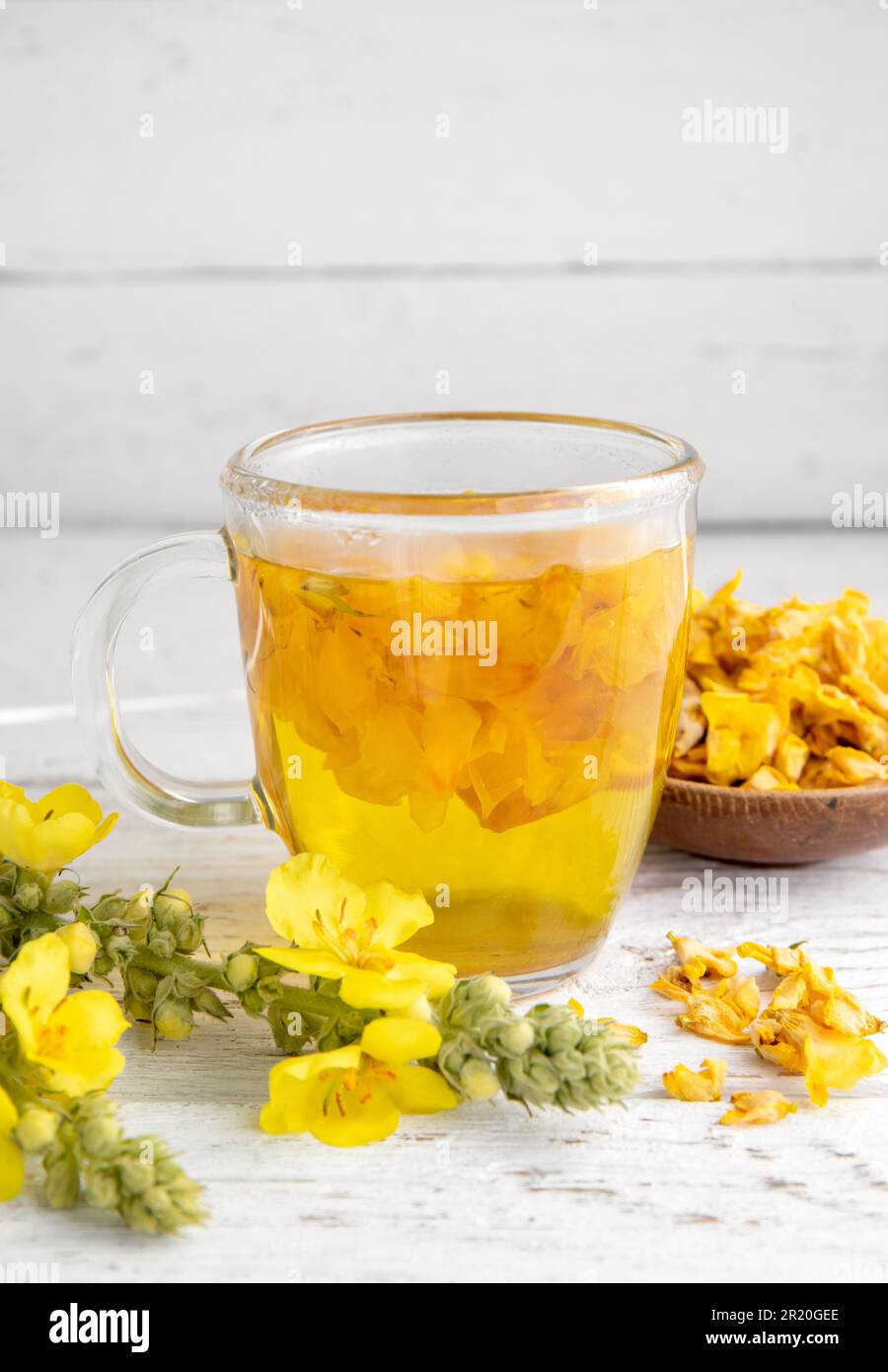 Bevanda a base di tè medicinale a base di erbe fatta di Verbascum thapsus, la grande mulleina, più grande mulleina o comune mulleina. Petali di fiori secchi gialli. Bicchiere di vetro. Foto Stock