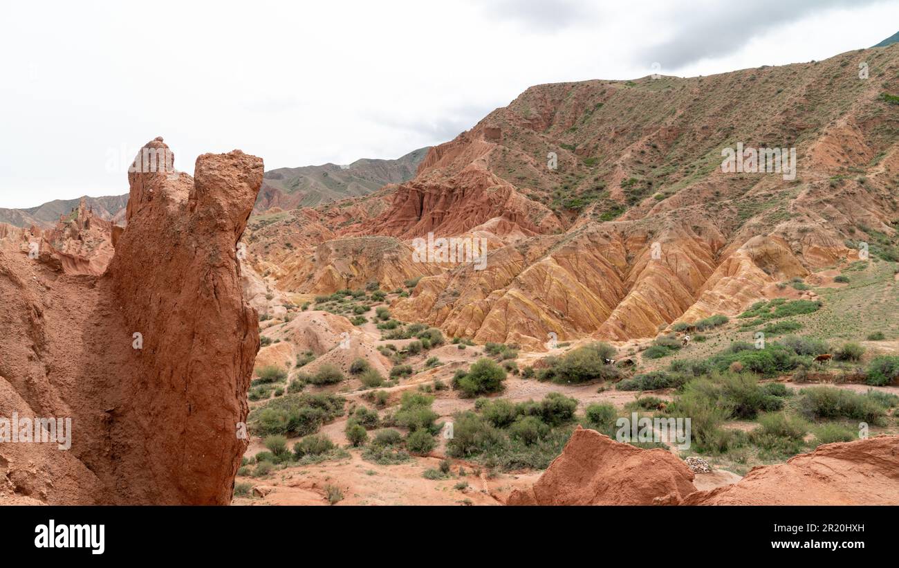 Scenario dal canyon fiabesco, formazione rocciosa unica situata in Kirghizistan. Canyon è noto per le sue insolite e colorate formazioni rocciose, che hanno b Foto Stock