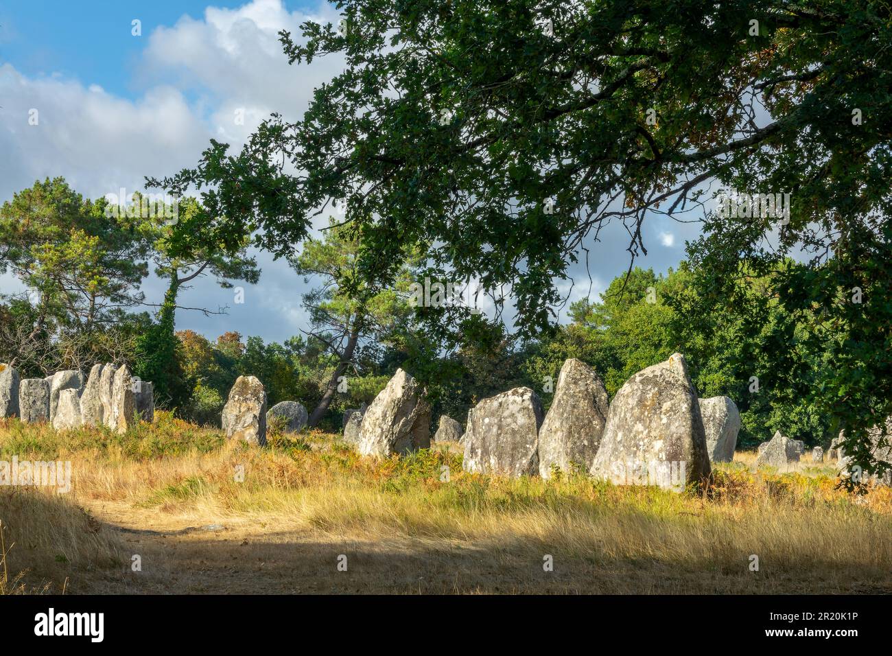 Pietre in piedi (o Menhir) nel Kerlescan allineamento a Carnac, Morbihan, Bretagna, Francia Foto Stock