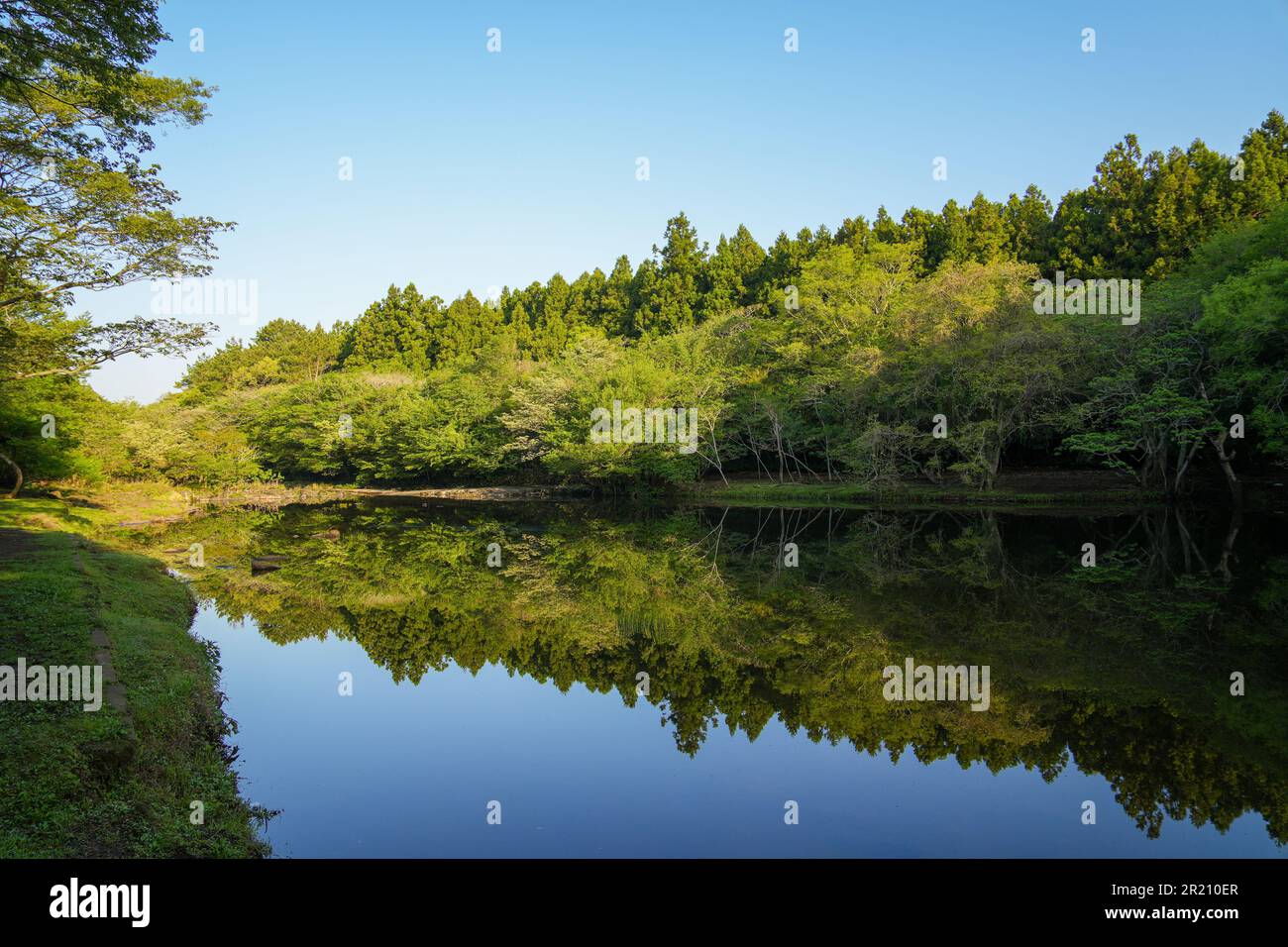 Il lago è circondato da una splendida foresta appartata Foto Stock