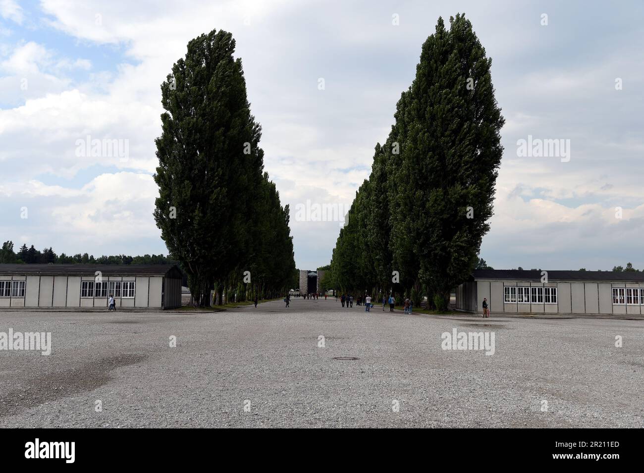 Fotografia di una strada alberata nel campo di concentramento di Dachau che conduce alla cappella cattolica dell'agonia mortale di Cristo. Il campo fu il primo dei campi di concentramento nazisti che aprirono nel 1933. L'intenzione iniziale per il campo era quella di tenere prigionieri politici. Foto Stock