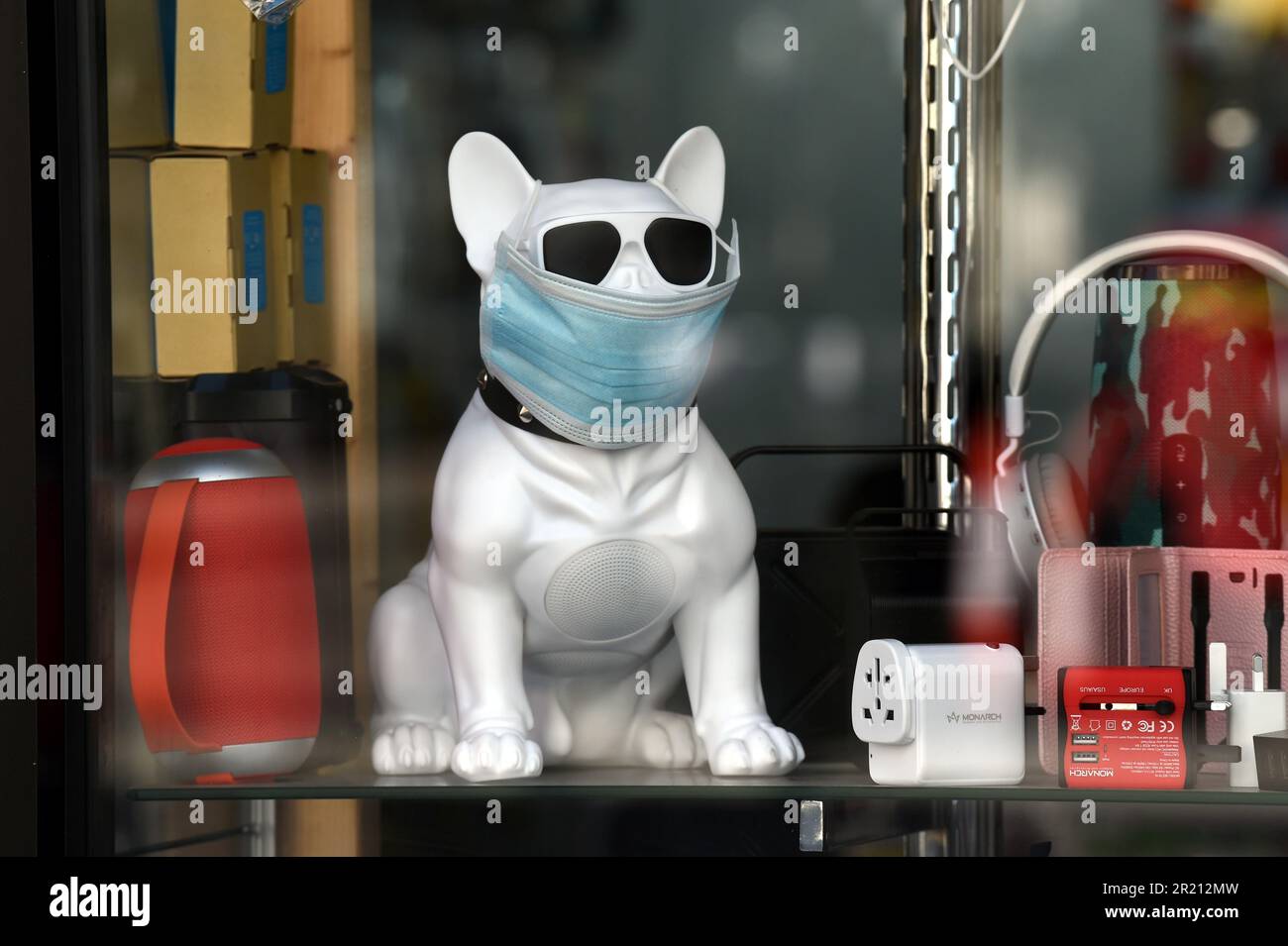 Fotografia di un modello di cane che indossa una maschera chirurgica in una vetrina di Oxford Street durante la pandemia COVID-19. Foto Stock