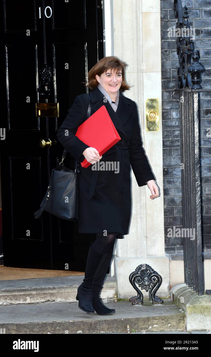 Fotografia di Nicola Ann Morgan, Segretario di Stato per il digitale, la cultura, i media e lo sport, lasciando il numero 10 di Downing Street, Londra dopo una riunione del gabinetto. Foto Stock