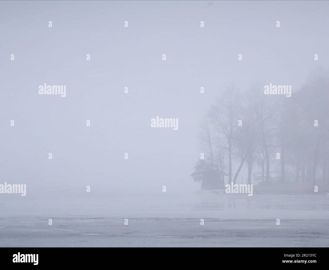 Modello di risorsa grafica di alberi visti attraverso la nebbia mattutina Foto Stock