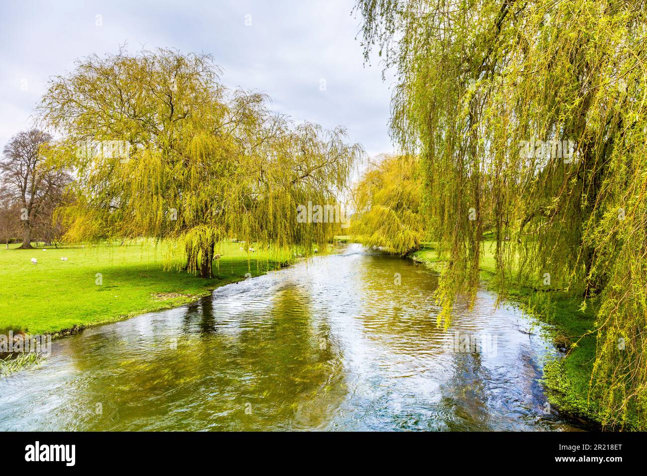 Il fiume Great Stour attraversa Godmersham Park, Kent Downs, Kent, Inghilterra, Regno Unito Foto Stock