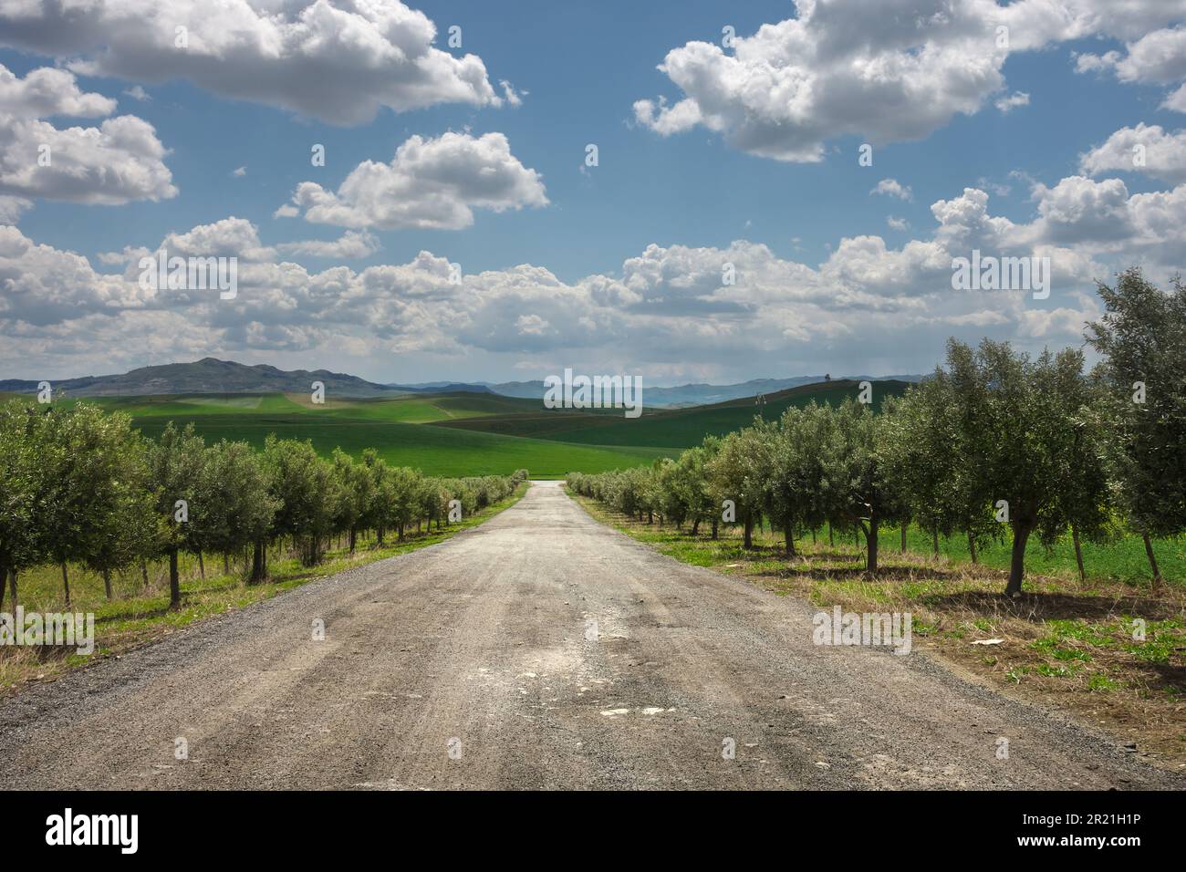 Strada di campagna fiancheggiata sotto un cielo suggestivo in Sicilia, Italia Foto Stock
