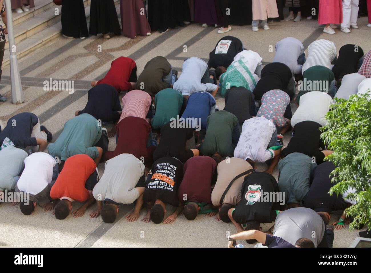 Nablus, Palestina. 16th maggio, 2023. Studenti di sostegno del blocco islamico del movimento di resistenza islamica, Hamas, uno dei quattro blocchi in corso per le elezioni, pregano dopo aver vinto le elezioni del Consiglio dell'Unione studentesca all'Università Nazionale Palestinese di An-Najah a Nablus, nella Cisgiordania occupata a nord. Le elezioni si svolgono tra 4 blocchi di studenti all'Università An-Najah, ed è la prima elezione per il Consiglio dell'Unione degli studenti dopo 7 anni. Credit: SOPA Images Limited/Alamy Live News Foto Stock