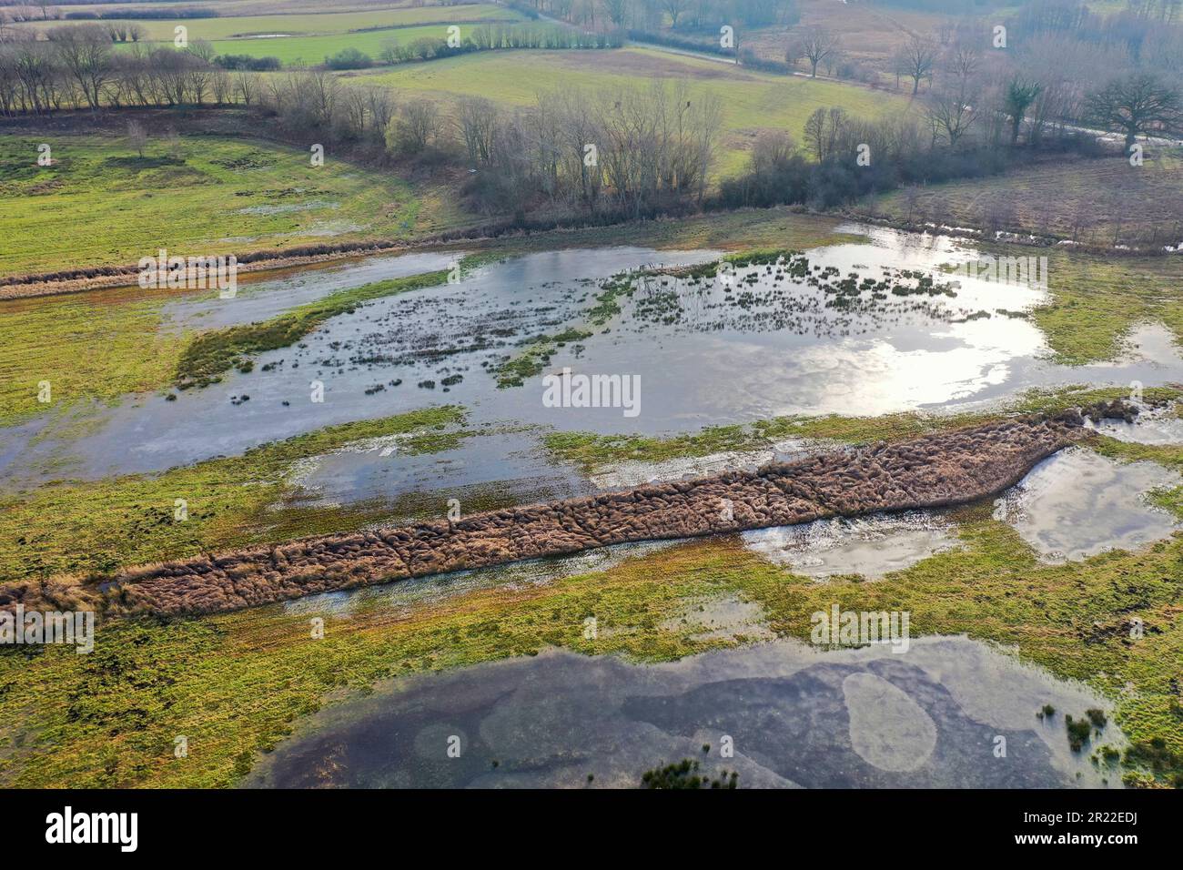 Prati di Stecknitz nella riserva naturale, vista aerea, Germania, Schleswig-Holstein Foto Stock