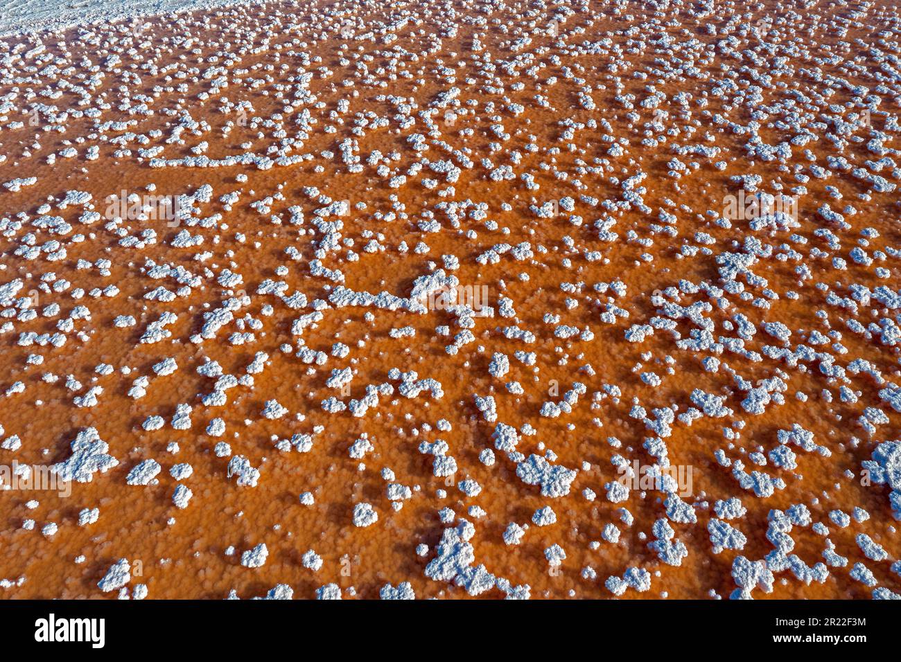 Saline Bonanza, concentrazione di sale, Spagna, Andalusia, Sanlucar de Barrameda Foto Stock