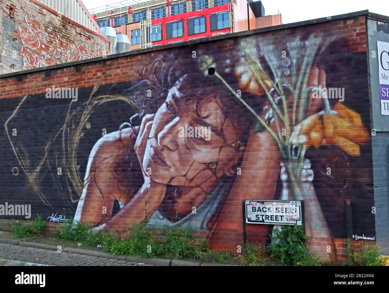 Back Seel Street Mural , 47 Seel St, Liverpool , Merseyside, Inghilterra, UK, L1 4AZ - Liam Bononi Foto Stock