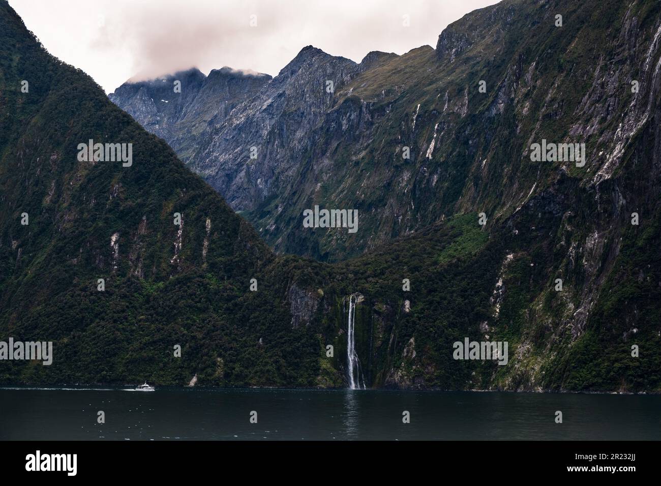 Nave da crociera, Milford Sound, nuova Zelanda Foto Stock