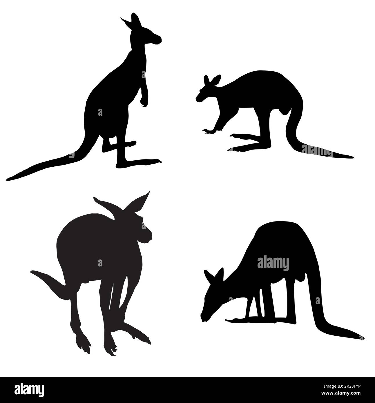 Silhouette di quattro canguri australiani su sfondo bianco Illustrazione Vettoriale