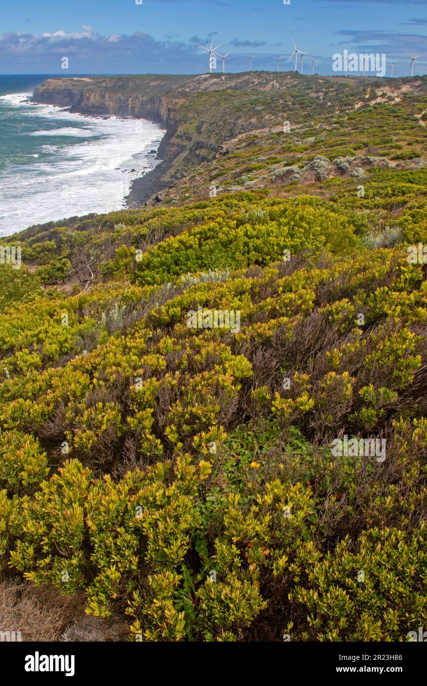 Litorale di Cape Bridgewater e turbine eoliche Foto Stock
