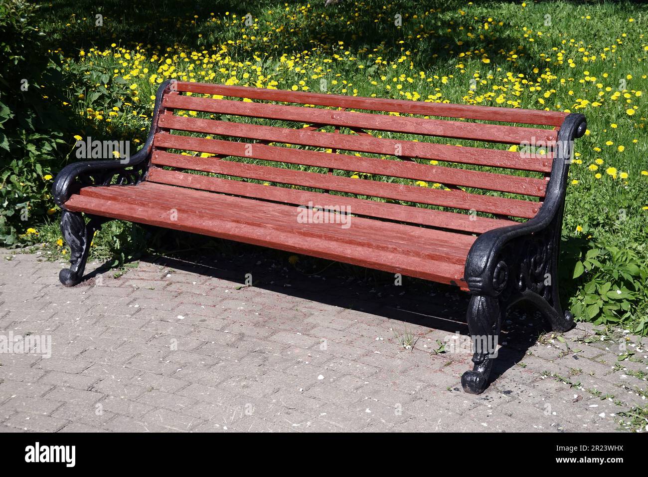 Panca di legno marrone vuota su basi di metallo nero nel parco contro prato verde con fiori di dente di leone in giorno di sole luminoso Foto Stock