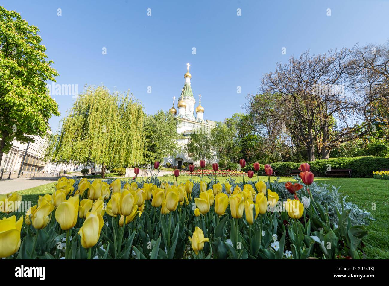 Sofia, Bulgaria. Maggio 2023. Tulipani colorati in un parco del centro città con le cupole del St La chiesa di Nicholas sullo sfondo Foto Stock