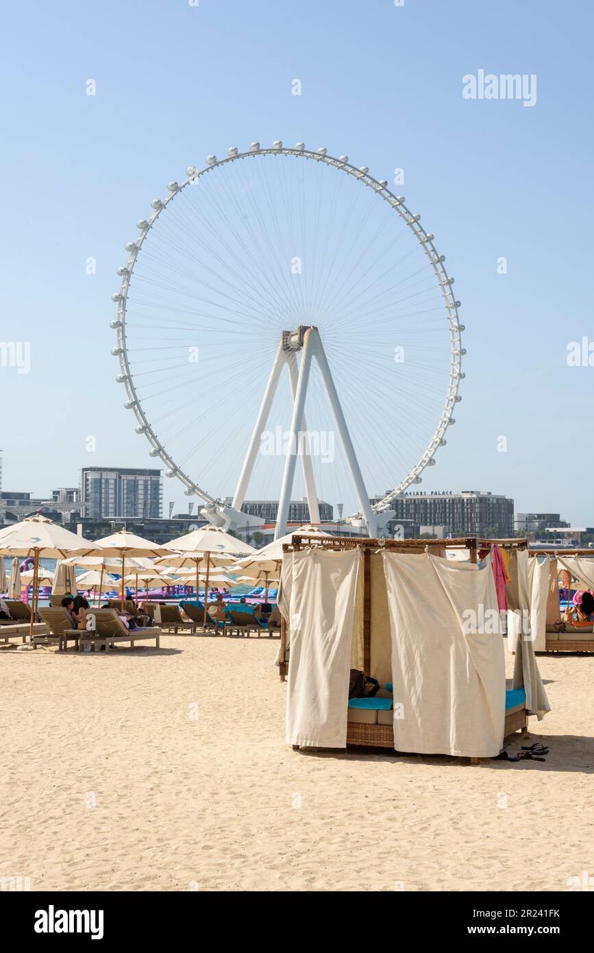 Vista della ruota panoramica di Ain Dubai dalla Marina Beach di Dubai. Con un'altezza di 210m m, è la ruota panoramica più grande del mondo, Dubai, Emirati Arabi Uniti Foto Stock