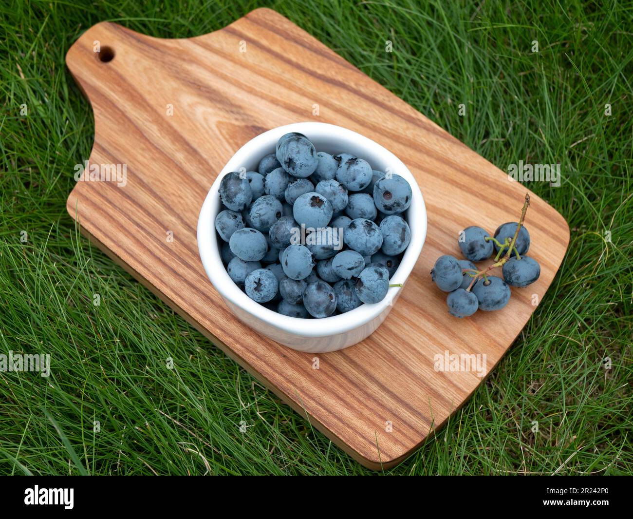 Piccola ciotola di mirtilli su tavola di legno su erba verde estiva. Spuntino mattutino. Ingrediente in ricette sane Foto Stock