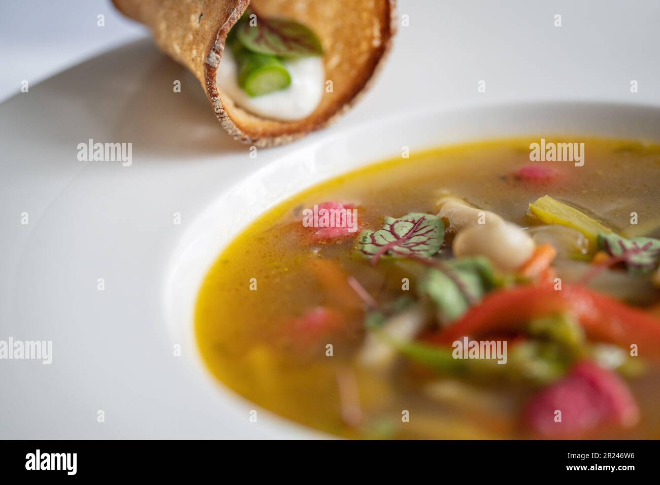 Fuoco selettivo di zuppa di verdure con asparagi, funghi e gnocchi rosa (barbabietola) in un piatto bianco. Cibo vegetariano. Foto Stock
